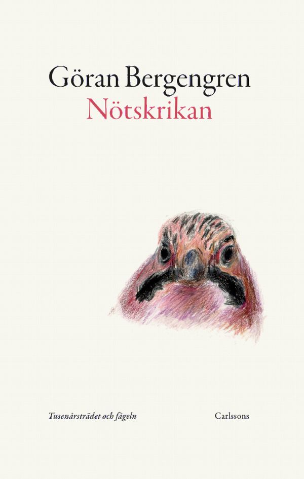 Tusenårsträdet och fågeln Nötskrikan | 0:e upplagan