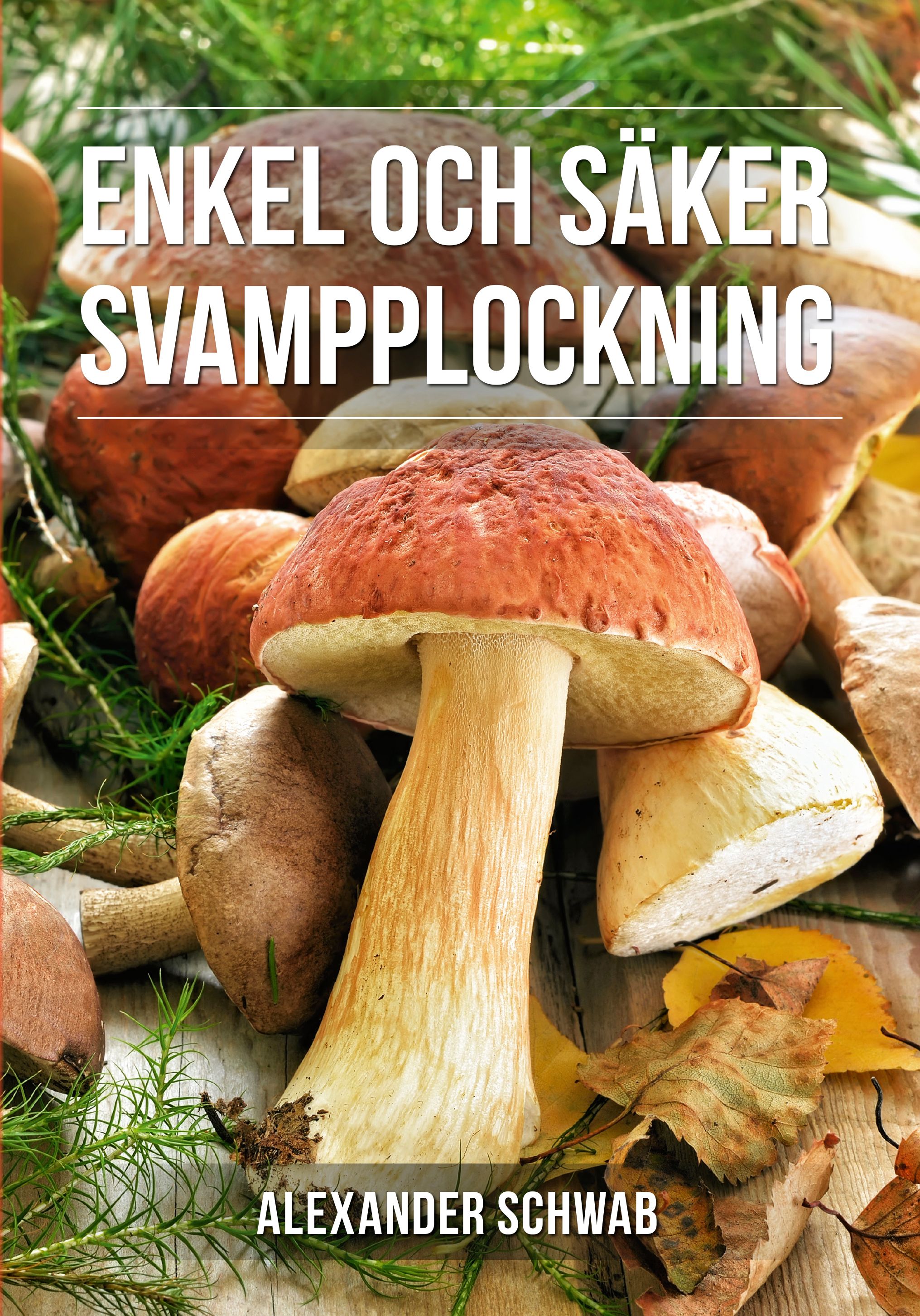 Säker svampplockning : De vanligaste svamparna - Alexander Schwab