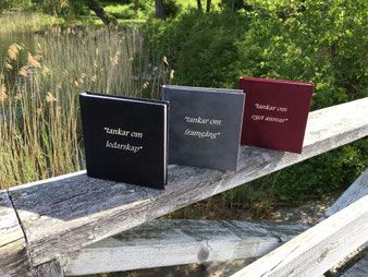 "tankar om..." | 0:e upplagan