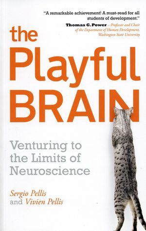 The Playful Brain