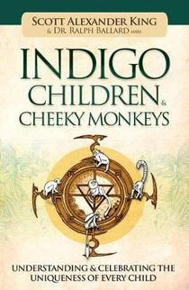 Indigo Children & Cheeky Monkeys : Understanding & Celebrating the Uniqueness of Every Child