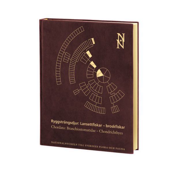 Ryggsträngsdjur: Lansettfiskar-broskfiskar Chordata: Branchiostomatidae-Cho | 0:e upplagan