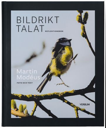 Bildrikt talat, reflektionsbok | 1:a upplagan