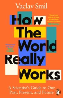 How the World Really Works - A Scientist's Guide to Our Past, Present and F