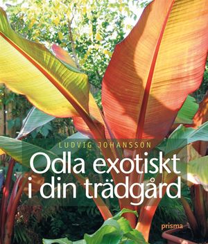 Odla exotiskt i din trädgård | 1:a upplagan