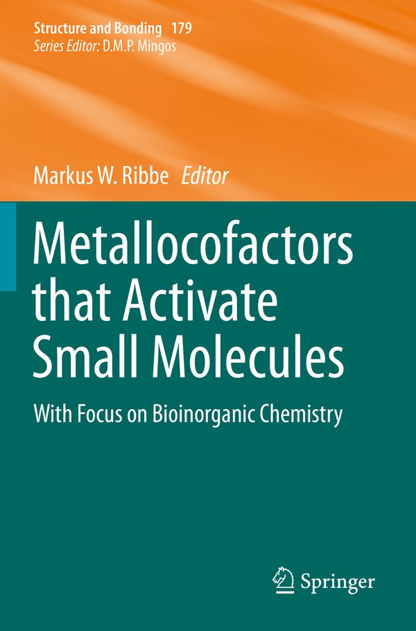 Metallocofactors that Activate Small Molecules: With Focus on Bioinorganic Chemistry | 1:a upplagan
