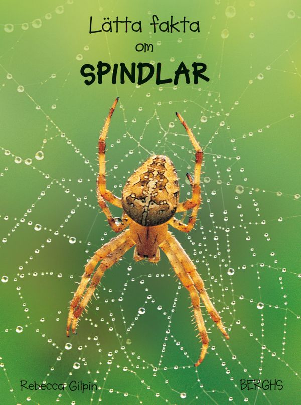 Lätta fakta om spindlar | 1:a upplagan