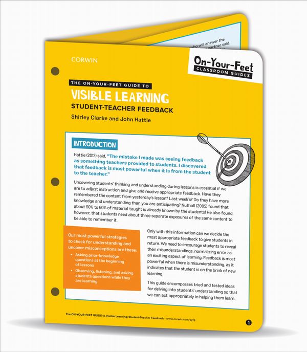 The On-Your-Feet Guide to Visible Learning | 1:a upplagan