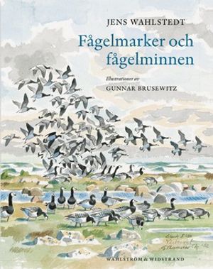 Fågelmarker och fågelminnen