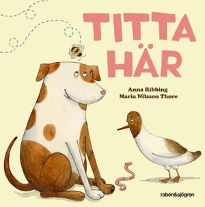 Titta här | 1:a upplagan