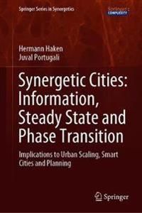 Synergetic Cities: Information, Steady State and Phase Transition