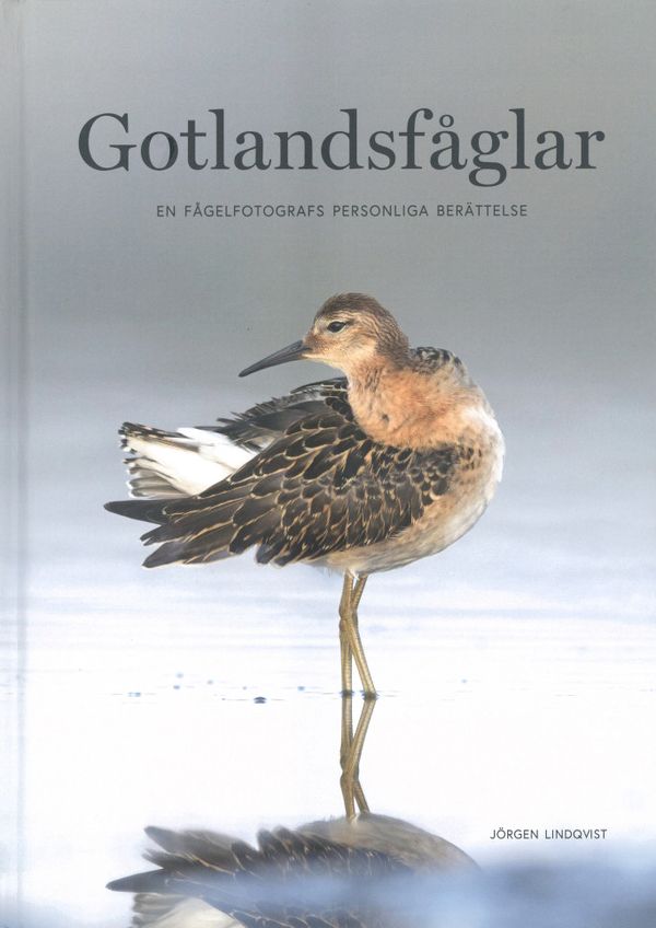 Gotlandsfåglar | 0:e upplagan