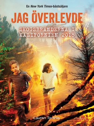 Jag överlevde skogsbränderna i Kalifornien 2018