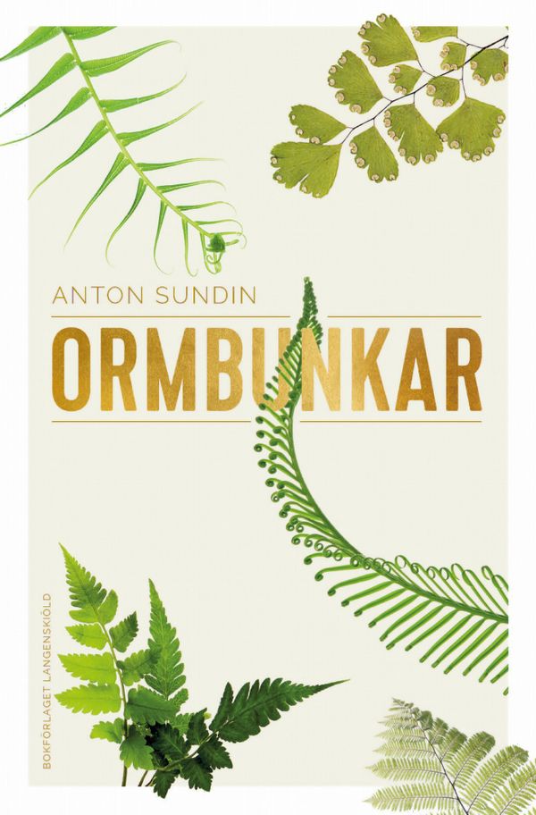 Ormbunkar | 0:e upplagan