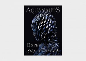 Aquanauts - Expeditionen till Siljansringen