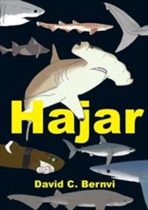 Hajar: en spännande faktabok