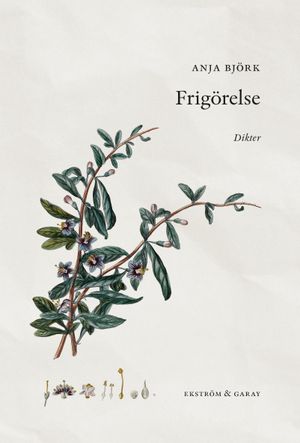 Frigörelse | 1:a upplagan