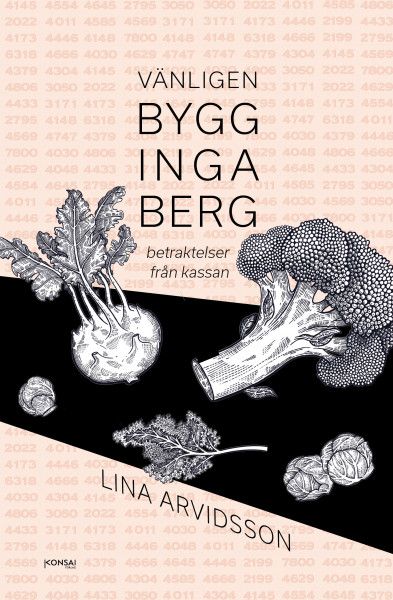 Vänligen bygg inga berg: betraktelser från kassan - Lina Arvidsson