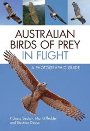 Australian Birds of Prey in Flight