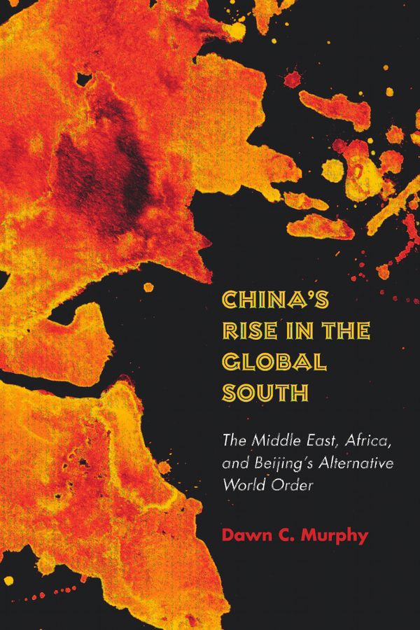 China's Rise in the Global South | 0:e upplagan