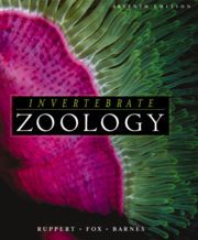 Invertebrate Zoology