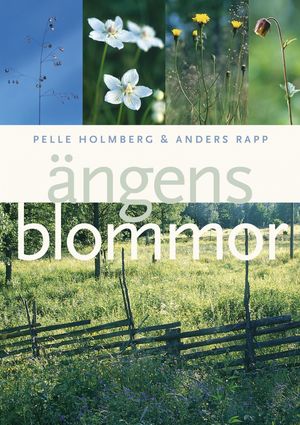 Ängens blommor | 1:a upplagan