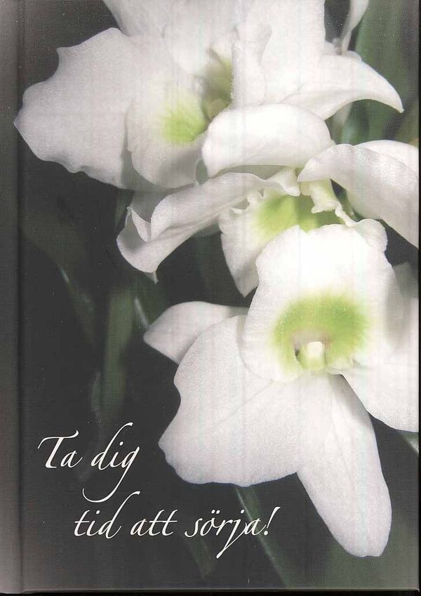 Ta dig tid att sörja | 0:e upplagan