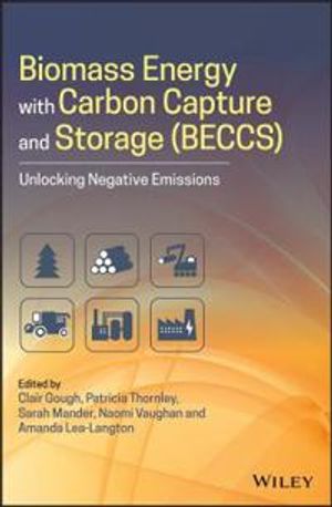 Biomass Energy with Carbon Capture and Storage (BECCS)