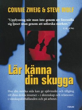 Lär känna din skugga | 0:e upplagan
