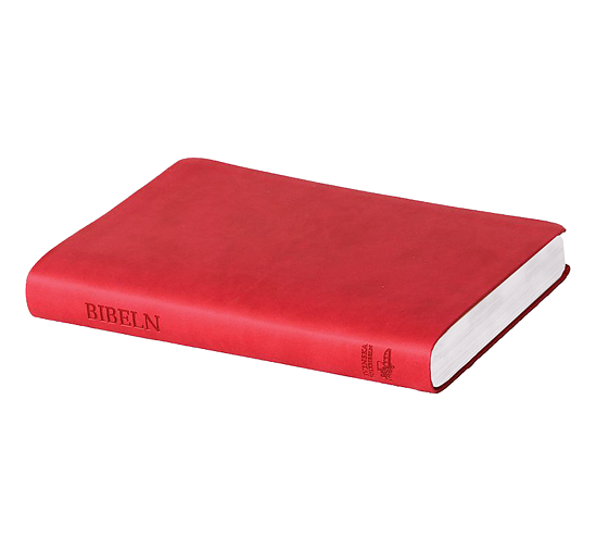 Svenska Folkbibeln 2015, slimline, rosa skinnimitation | 0:e upplagan