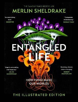 Entangled Life | 0:e upplagan