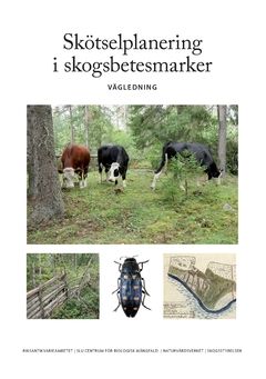 Skötselplanering i skogsbetesmarker : Vägledning | 0:e upplagan
