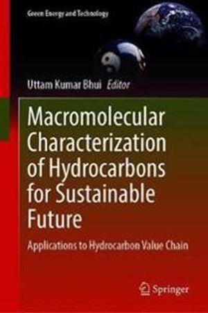 Macromolecular Characterization of Hydrocarbons for Sustainable Future | 1:a upplagan