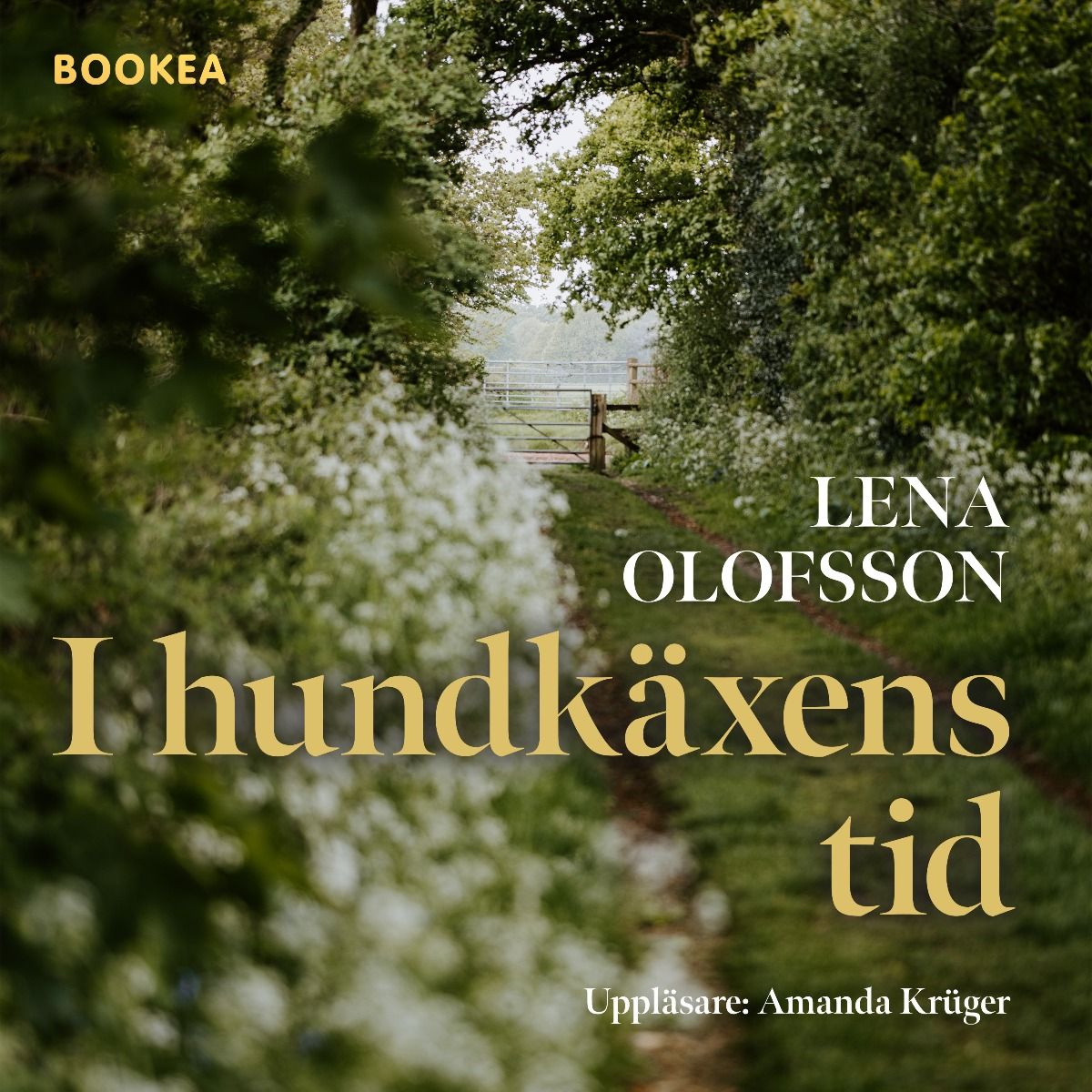 I hundkäxens tid - Lena Olofsson