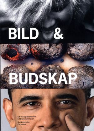 Bild och budskap : ett triangeldrama om bildkommunikation | 3:e upplagan