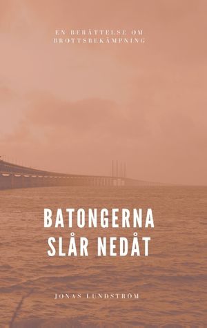 Batongerna slår nedåt : en berättelse om brottsbekämpning | 1:a upplagan