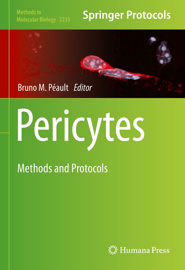 Pericytes | 1:a upplagan