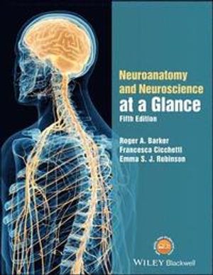 Neuroanatomy and Neuroscience at a Glance | 1:a upplagan