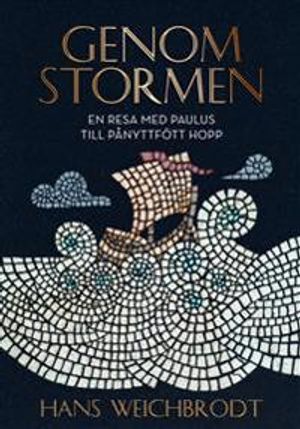 Genom stormen : en resa med Paulus till pånyttfött hopp