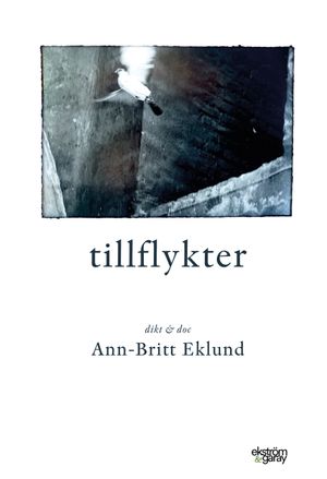 Tillflykter | 1:a upplagan