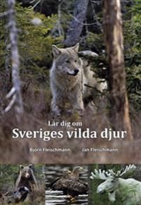 Lär dig om Sveriges vilda djur