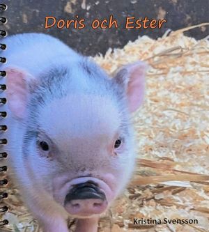 Doris och Ester | 1:a upplagan