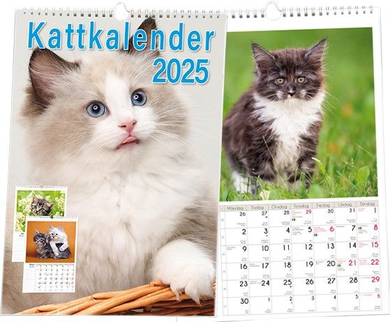 Kattkalender 2025 | 1:a upplagan