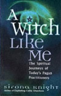 Witch Like Me: The Spiritual Journeys Of Today's Pagan Practitioners