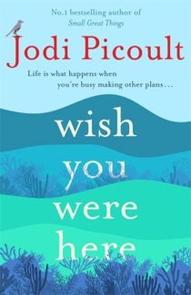 Wish You Were Here - The Sunday Times bestseller readers are raving about