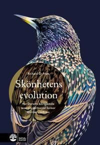 Skönhetens evolution | 1:a upplagan
