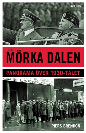 Den mörka dalen : Panorama över 1930-talet | 1:a upplagan