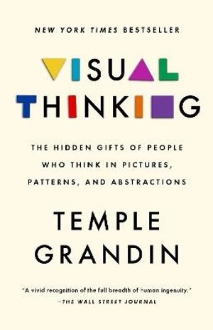 Visual Thinking