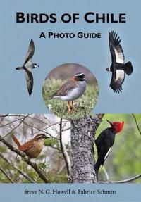 Birds of Chile