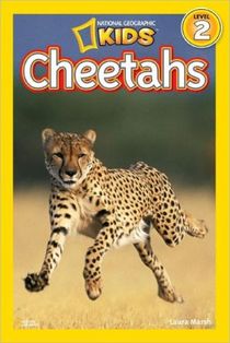 National Geographic Kids Readers: Cheetahs